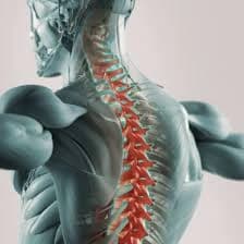 Neurosciences (Brain & Spine)