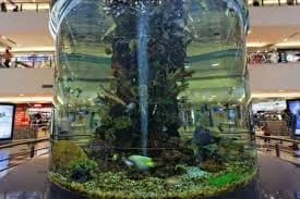 The Aquarium & Mall Experience