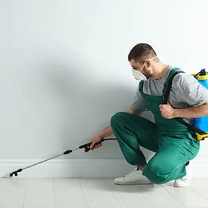 Pest Control Services