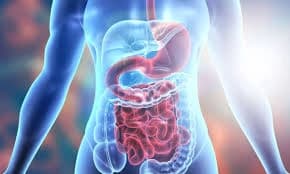 Gastroenterology & Digestive Health