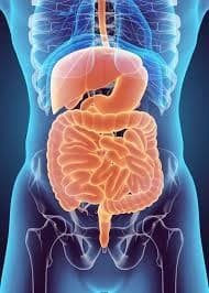 Gastroenterology & Liver Care