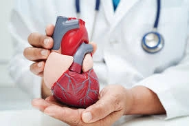 Cardiac Sciences (Heart Care)