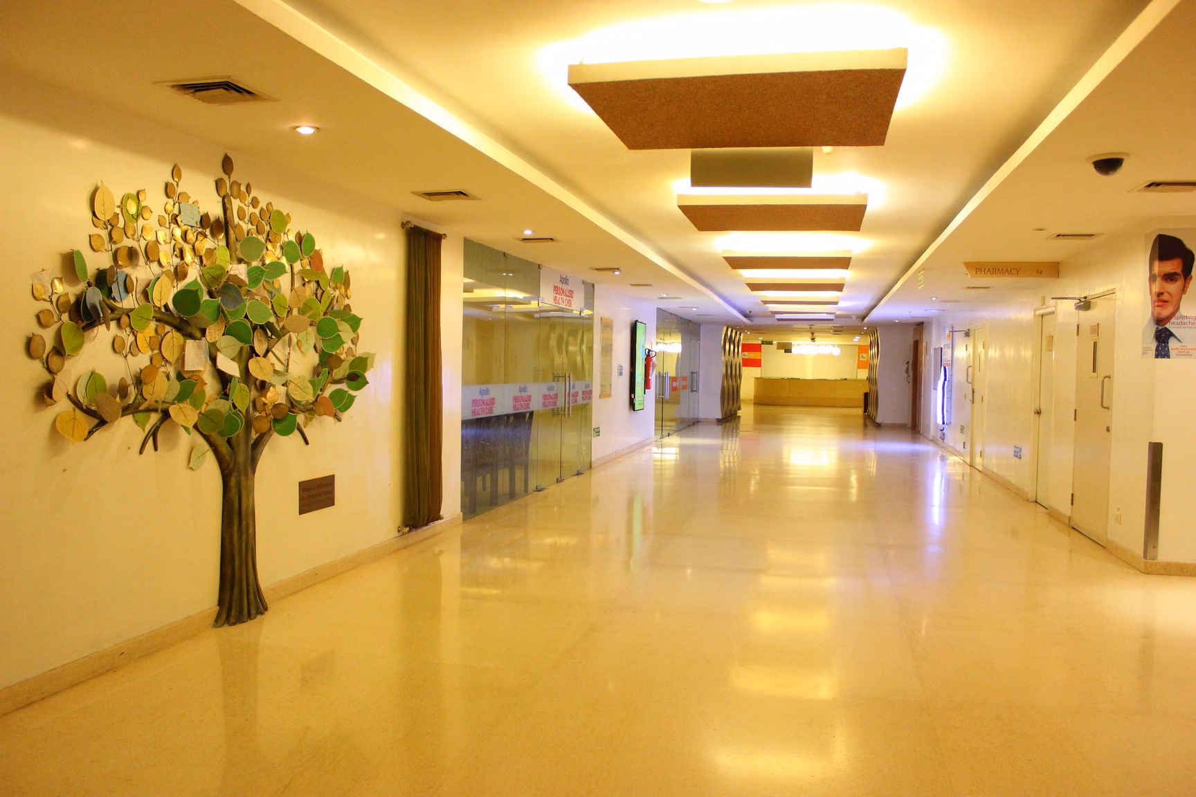 Apollo Hospitals