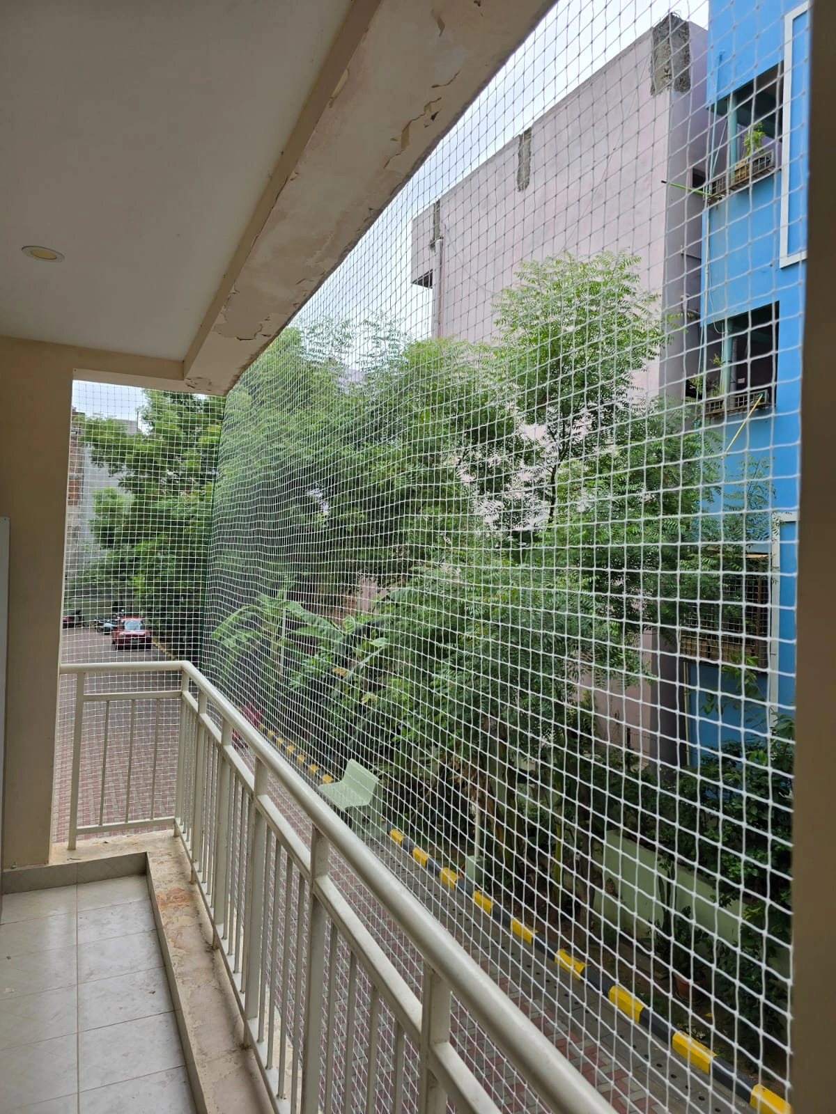 Pigeon safety net